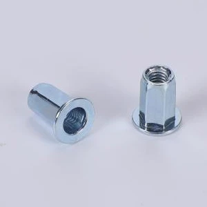 பிளாட் ஹெட் ஃபுல் ஹெக்ஸ் பாடி ஸ்டீல் ரிவெட் நட்ஸ்